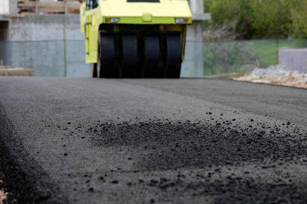 Best Concrete Paver Driveway  in Grapeland, TX