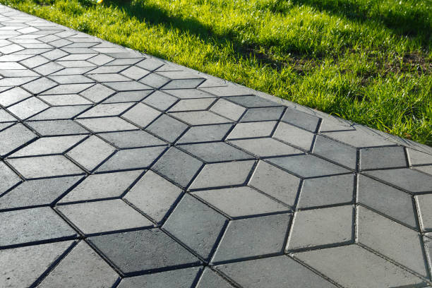 Best Residential Paver Driveway  in Grapeland, TX