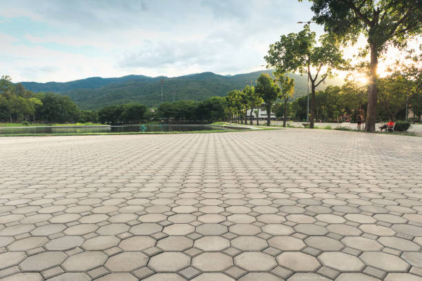 Best Commercial Driveway Pavers  in Grapeland, TX